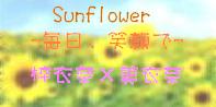 Sunflower@-AΊ-